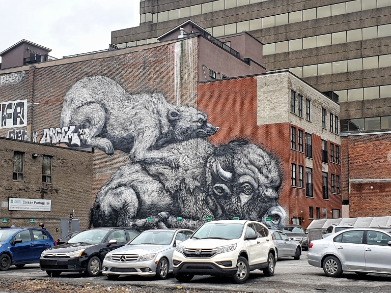 Roa street art in Montreal
